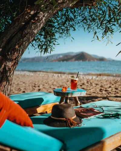 Yaniklar Hotel | Yonca Lodge
