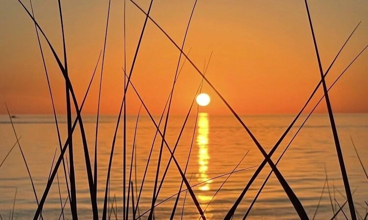 Port Sheldon Cottage | Your private beach! RARE 6Nights available Jun27-Jul3, 20% discount promo!