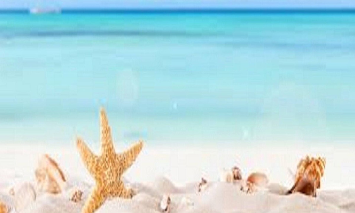 Marina di Mancaversa Apartment | Your relaxation in Salento: Ametista, a stone's throw from Gallipoli