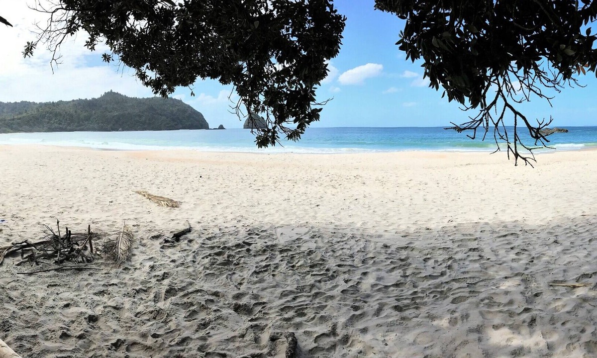 Matarangi House | “Your Stress-Free Beach Break in Matarangi”