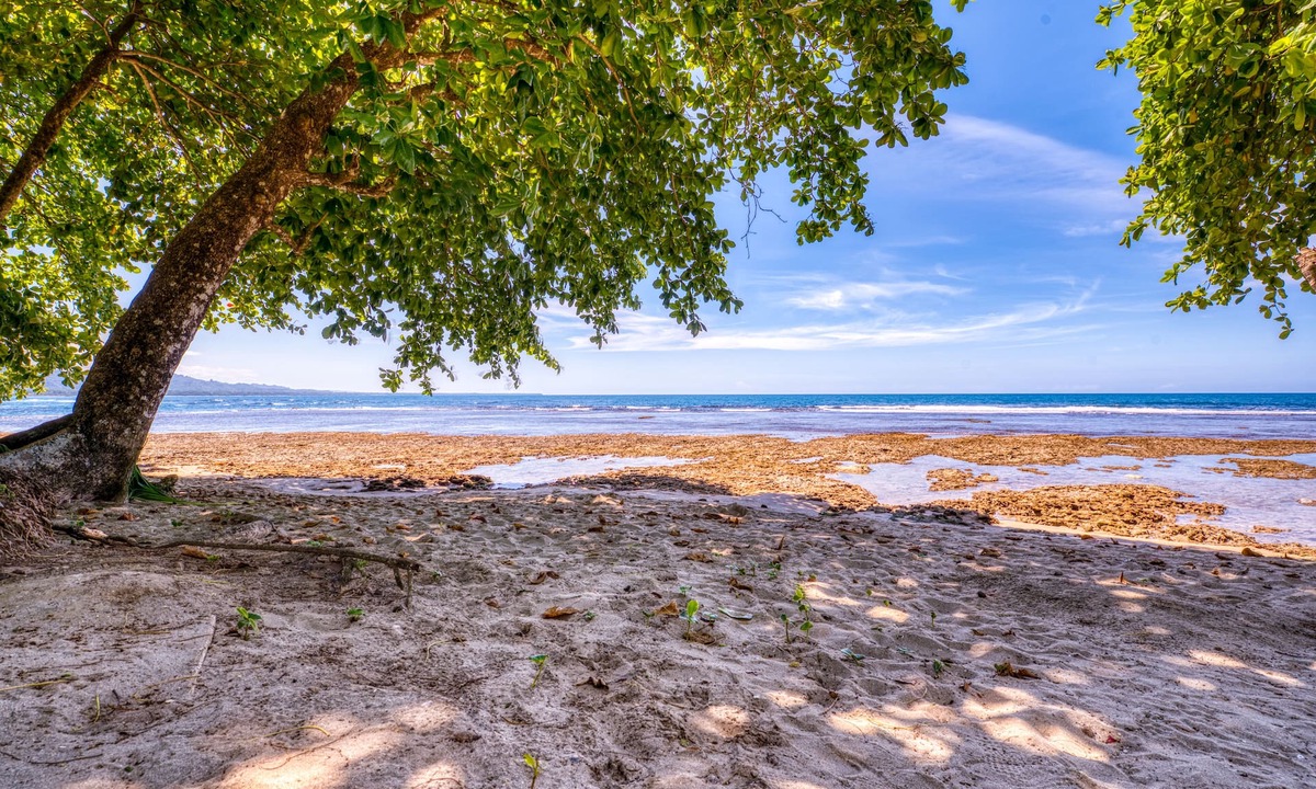 Cahuita Hotel | Yucca Beachfront Hotel