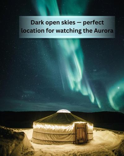 Sinetta Other | Yurt District