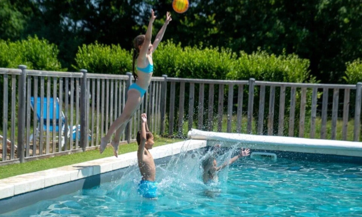 Chassenard Cabin | ZEcamping piscine chauffée animaux acceptés sauna cabane BBQ 6m2