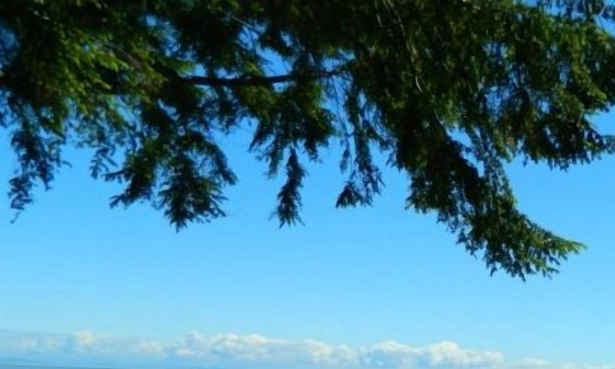 Mains Farm Apartment | Zen: Tranquil retreat, wildlife lovers, check this home that overlooks the