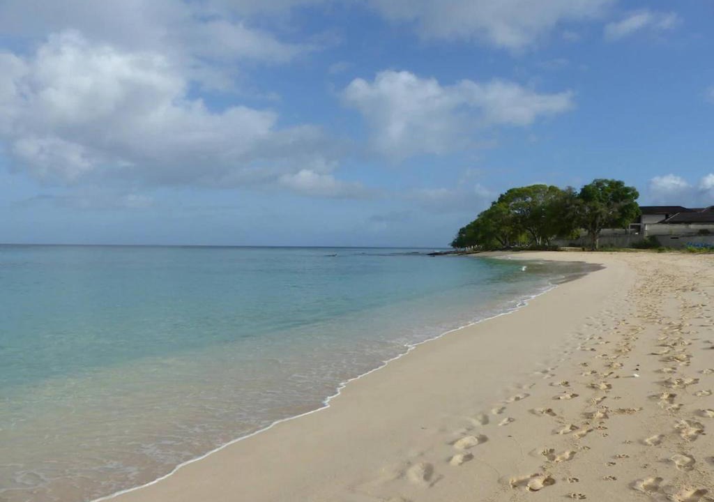 Spring Garden Apartment | Zenbreak Freshwater Beachfront 5