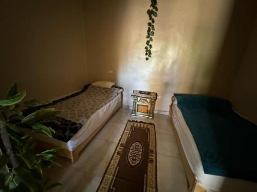 Al Haram House | Zizo fayed