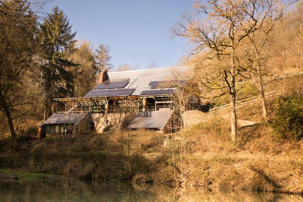 Blaimont House | Zonga Bonzai