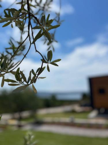 Ozbek Koyu Hotel | Zu Urla