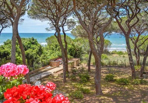 1 bedroom accommodation in Puntone