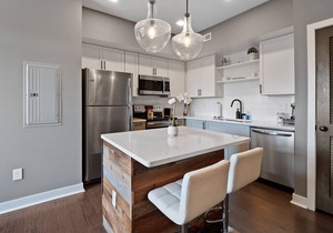 1 Bedroom Condo Minutes from Downtown B3