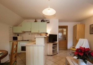 100m from shops, 2nd floor, balcony, ski locker, 38m², Valloire