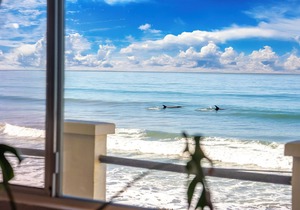 2 BDR - BEACHFRONT Cozy Apt