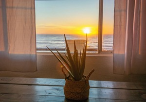 2 BDR - BEACHFRONT Cozy Apt