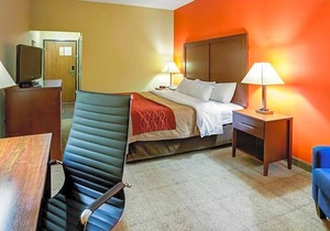 2-Star Hotel ∙ Comfort Inn Lexington Southeast