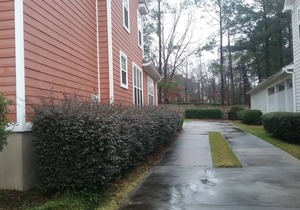 2020 Masters Rental - 4 Bedroom Home
