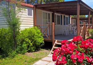 24 m² Accommodation ∙ 2 bedrooms ∙ 4 guests