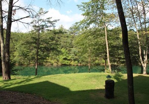 #724: Trout Hill Condo at Fall Creek Falls