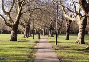 Absolute Clapham