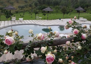 Angolo di Paradiso