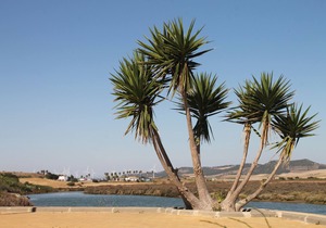 Apartment Cervantes in Conil centre