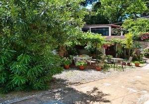 Apartment in heart of park Gradac next to OldTown