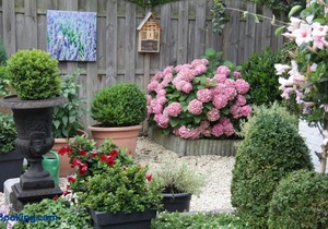 B&B Carpe Diem Eijsden