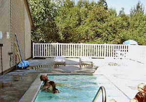 Beautiful 1 bedroom unit at resort, sleeps 4