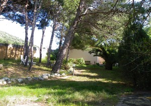 Campulongubeach