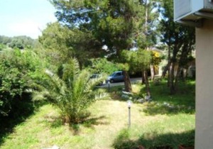 Campulongubeach