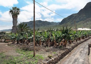 Casa El Cardon A2