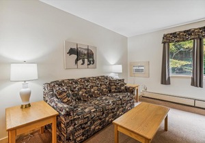 Cedarbrook Deluxe one bedroom suite located on 2nd floor with outdoor heated pool 21820