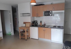 Charmant appartement au pied des pistes, pour 6 personnes avec parking et casier à skis - FR-1-602-61