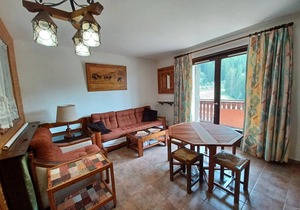Charming 2-room apartment with balcony and parking in Col du Corbier