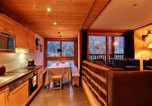 Charming duplex in a chalet in Tignes Les Brevieres