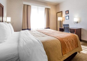 Comfort Inn Elko