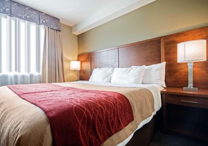 Comfort Inn & Suites Langley