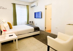 Comfortable and Elegant Aibonito Hotel/FREE PARKING & WIFI/GOOD AREA - 209