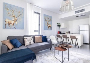 Comfortable and new flat in city center