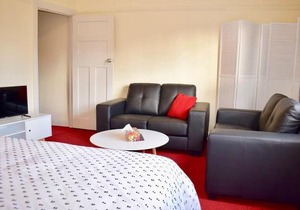 Comfortable Apartment In Trendy Haberfield