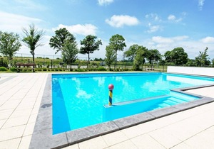 Comfortable chalet located in the Polder