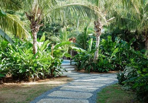 Cottage 1