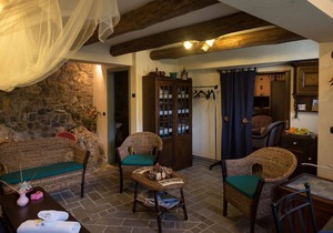 Cozy and charming home in an old village overlooking the river