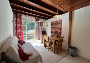 Cozy chalet-style apartment in Pra-Loup, 4 guests
