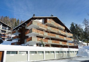 Domino b 220.2