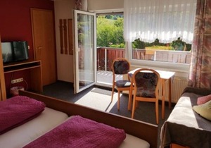 Double Room with Balcony 4 - Gasthaus Zum Pälterwald