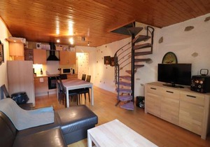 Duplex atypique centre historique - Animaux acceptés - FR-1-432-63