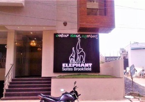 Elephant Suites Brookefield # 21
