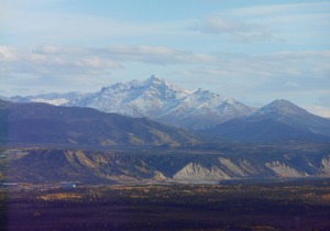 Experience true Alaska secluded Cabin just 15 miles from Denali National Park.