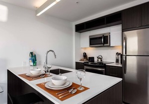 Furnished Luxury Getaway | nr Spring Hill | Reston Town Center