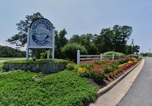 Grey's Point Camp Cottage 1